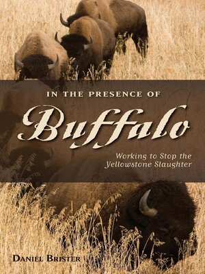 cover image of In the Presence of Buffalo